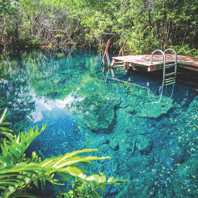 cenotes-witnesses-of the-passage-of-time